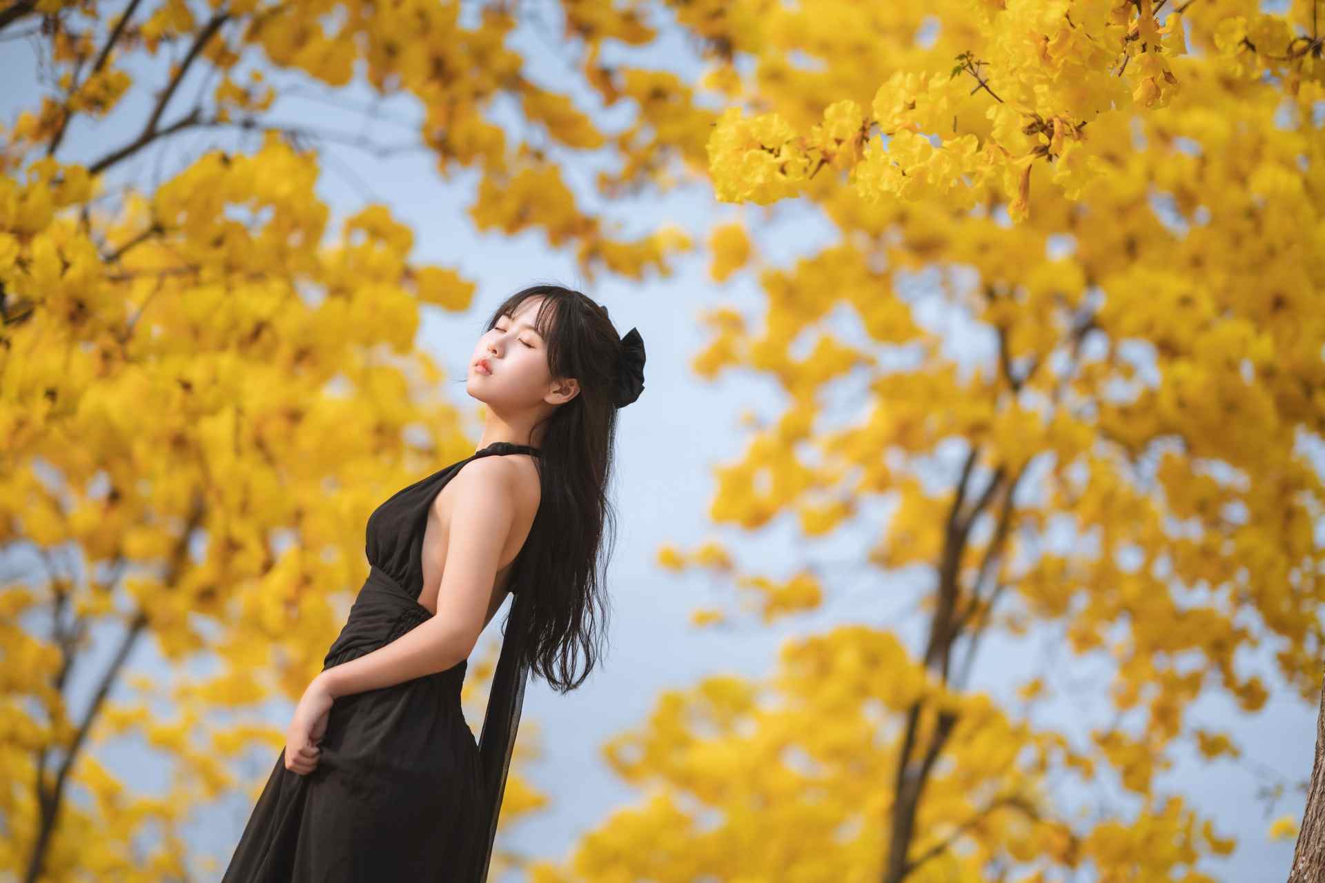 萌芽儿o0秋有银杏 春有黄风铃